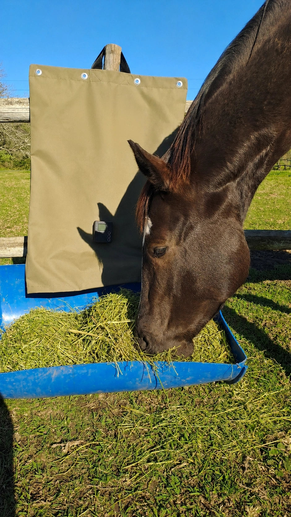 Automatic Horse Hay Feeder with 24-Hour Scheduled Feeding System